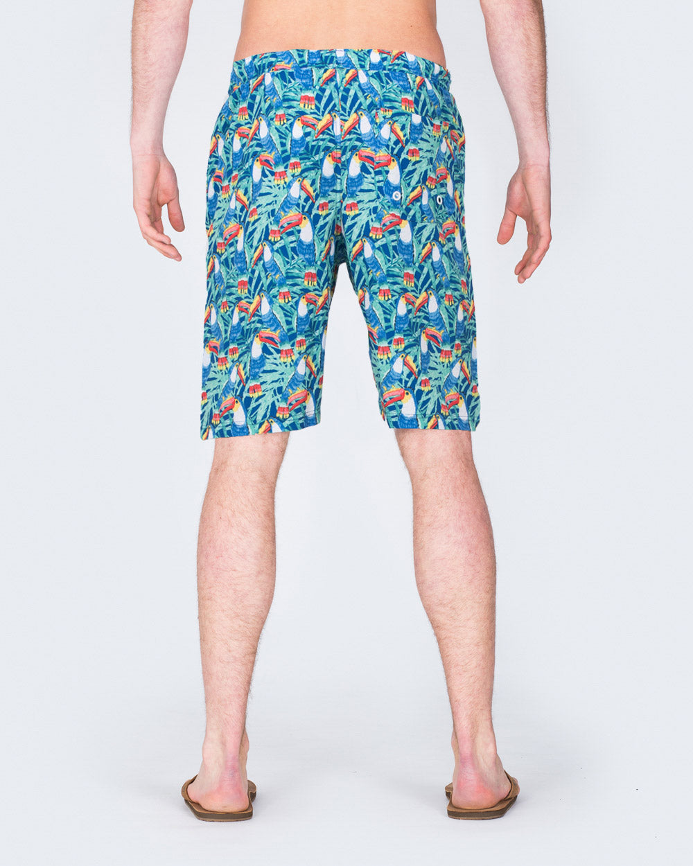 2t Tall Parrot Print Swim Shorts (blue)