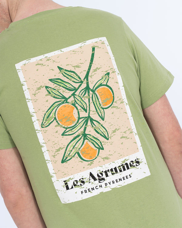 2t Tall Les Agrumes T-Shirt (green)