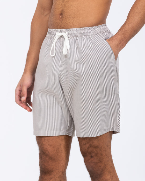 2t Harry Tall Swim Shorts (grey striped)