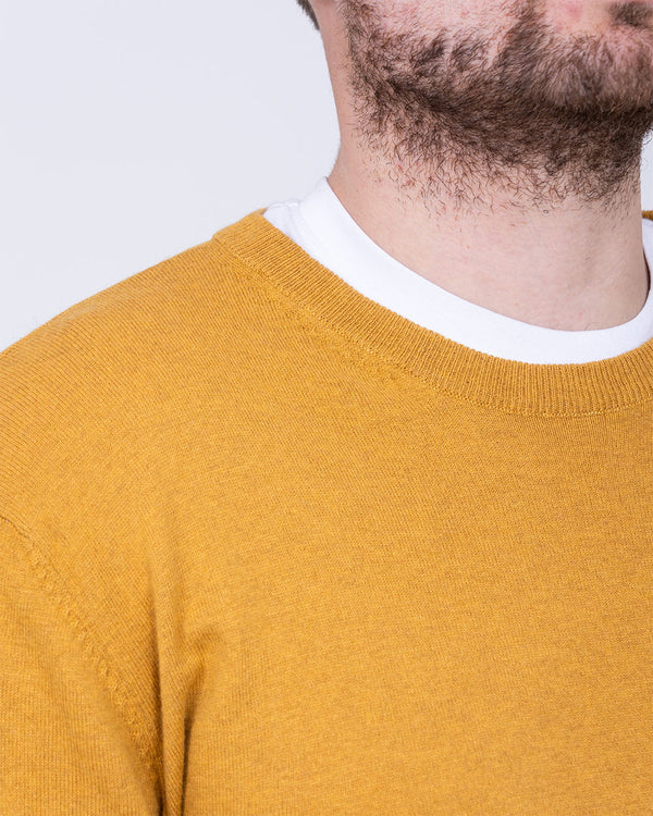 2t Merino Crew Neck Tall Jumper (mustard)