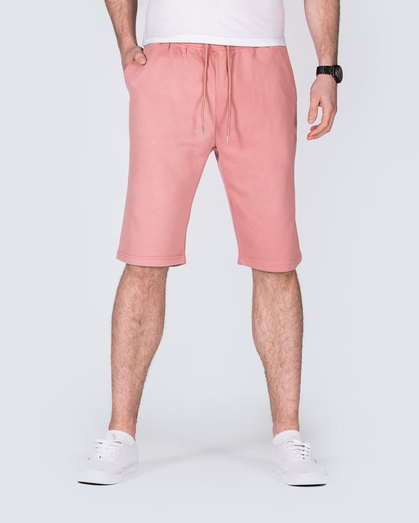 2t Tall Jakob Sweat Shorts (dusty rose)